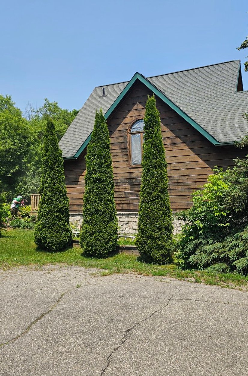 new black window structure